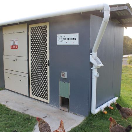 Bryn Glas Farm Stay Moruya Exteriör bild