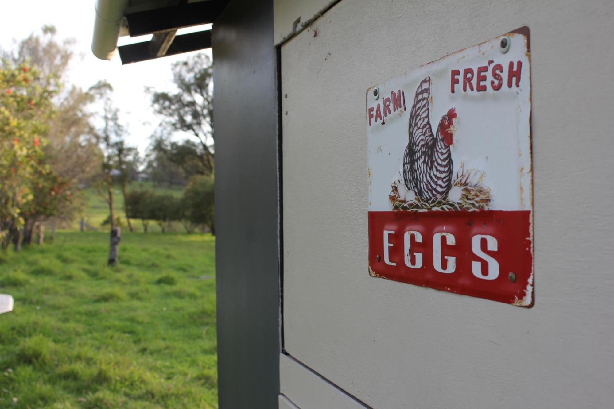 Bryn Glas Farm Stay Moruya Exteriör bild