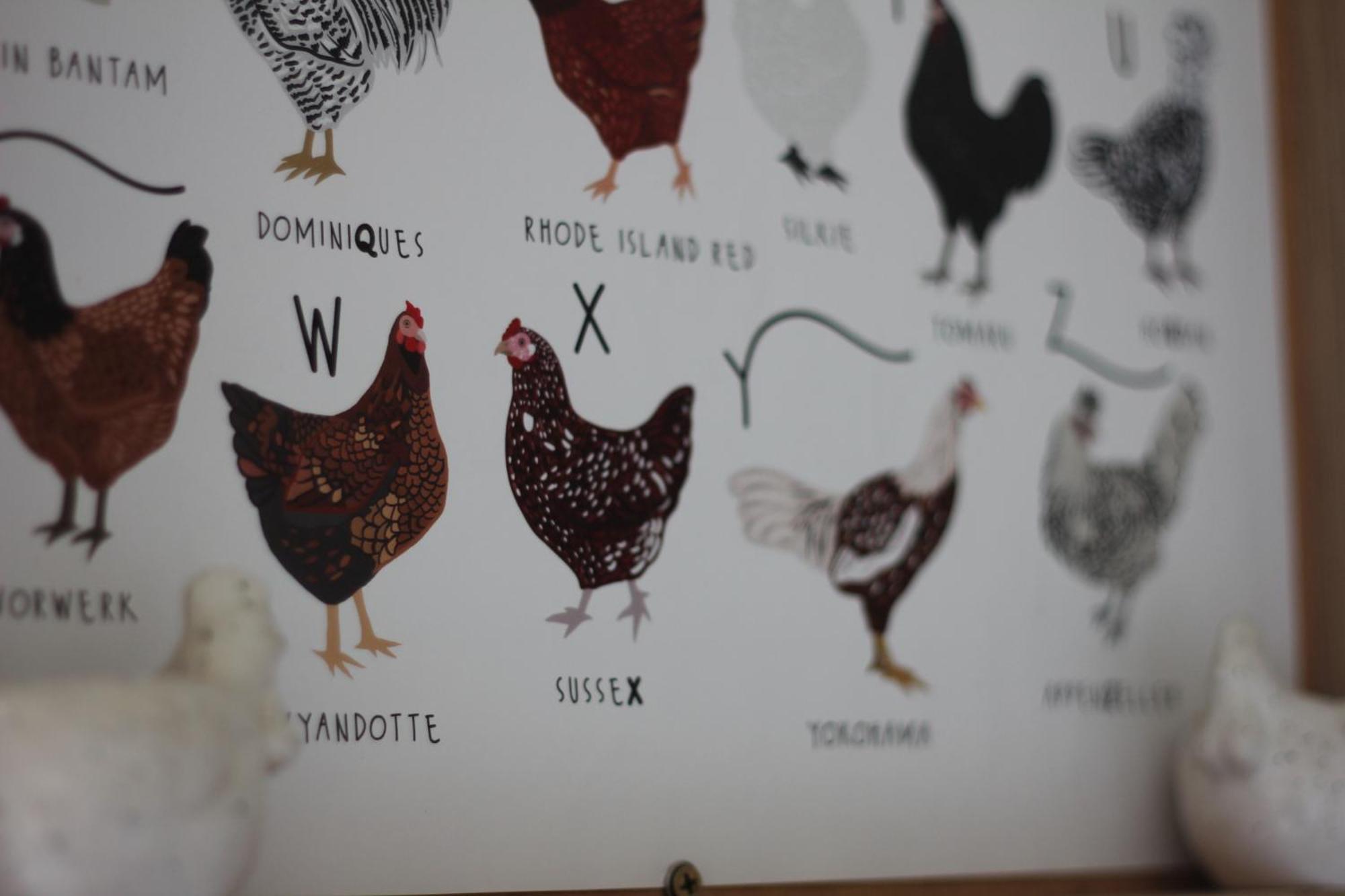 Bryn Glas Farm Stay Moruya Exteriör bild