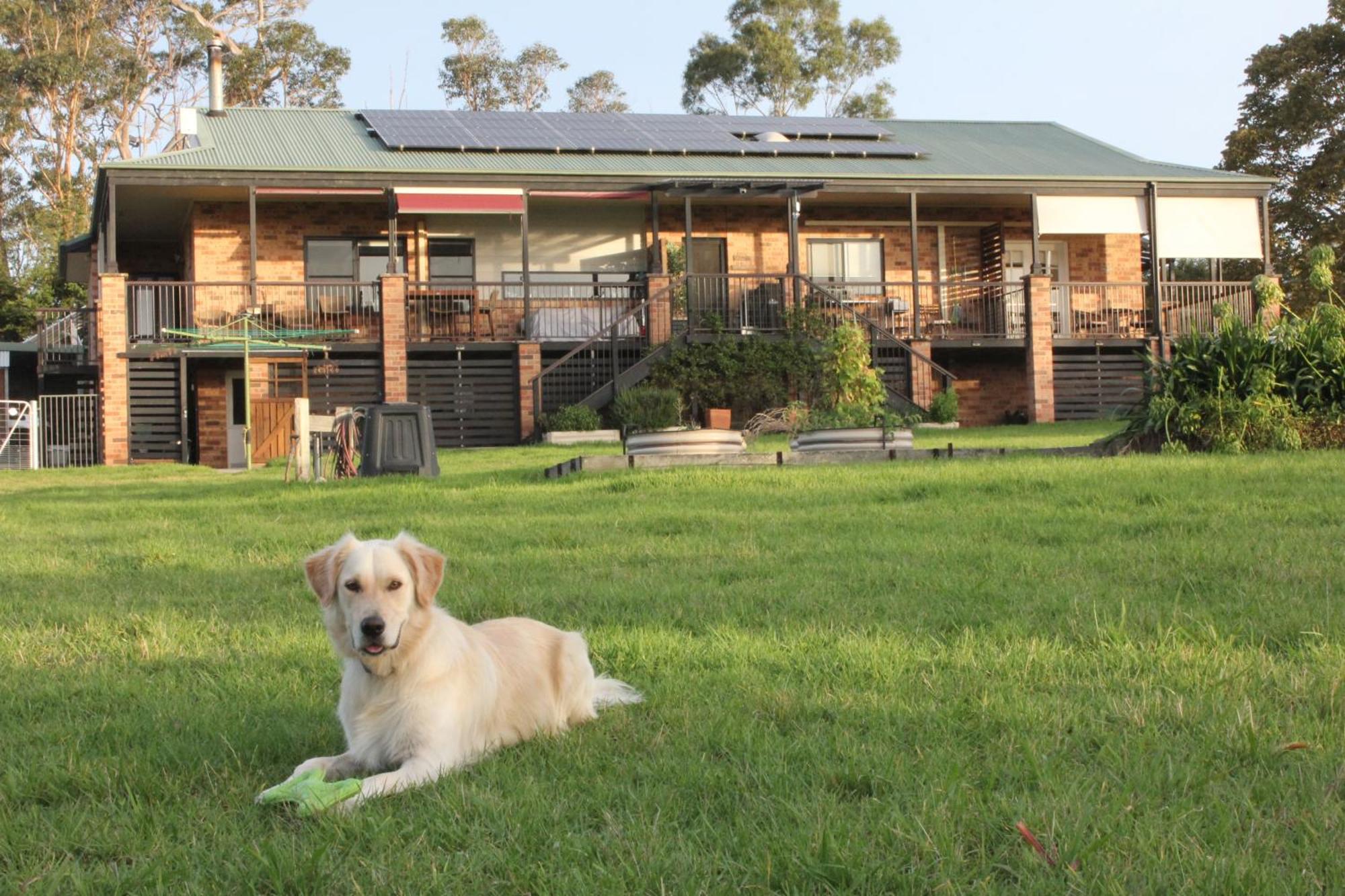 Bryn Glas Farm Stay Moruya Exteriör bild
