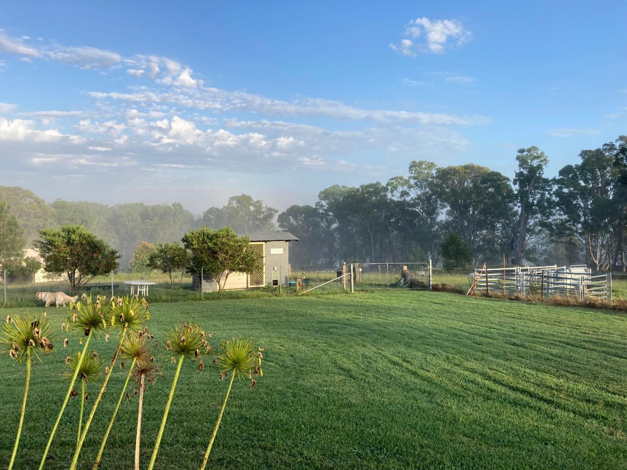 Bryn Glas Farm Stay Moruya Exteriör bild