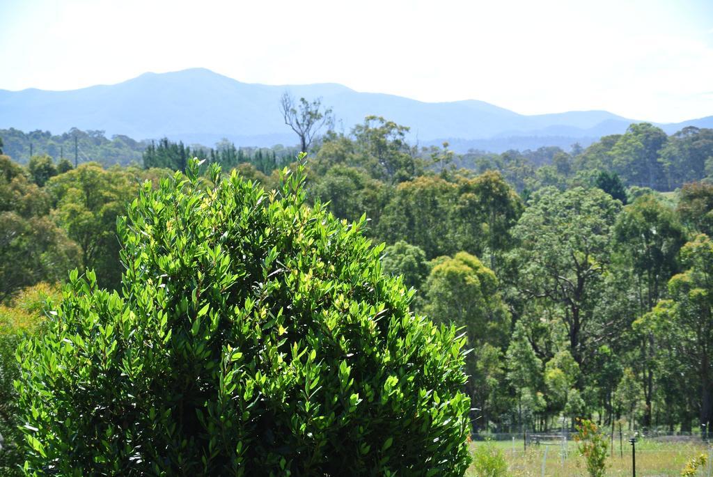 Bryn Glas Farm Stay Moruya Exteriör bild
