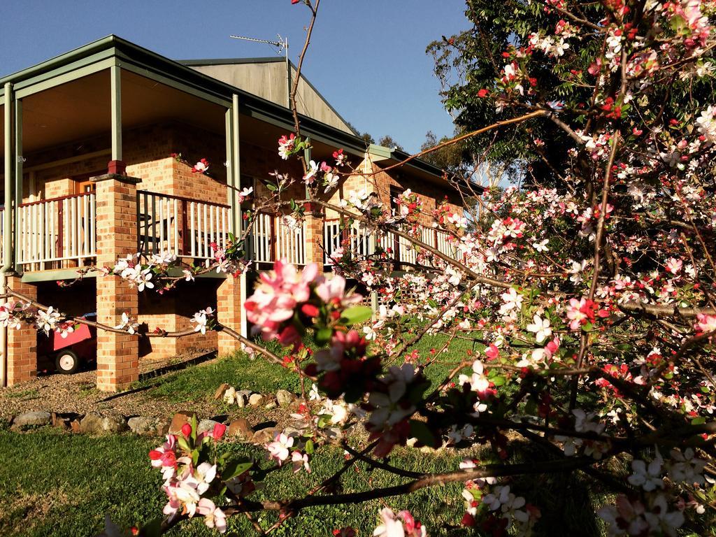 Bryn Glas Farm Stay Moruya Exteriör bild