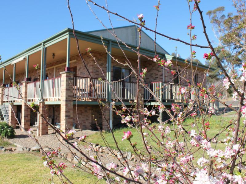 Bryn Glas Farm Stay Moruya Exteriör bild