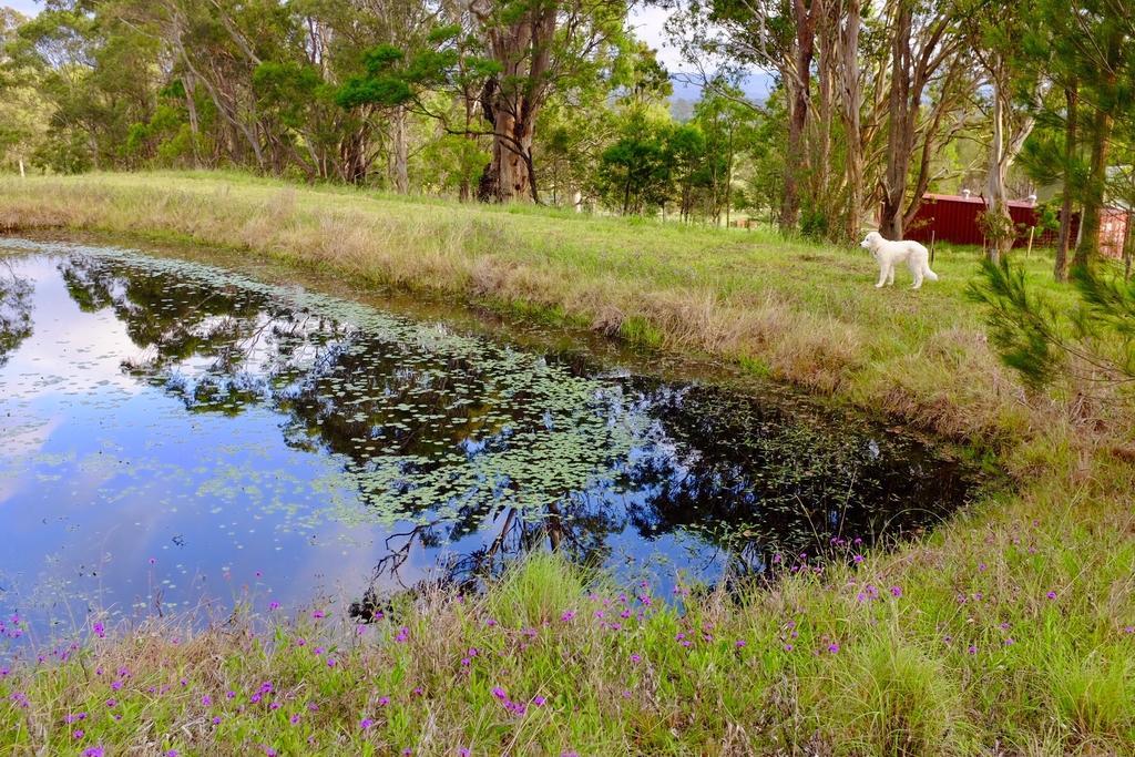 Bryn Glas Farm Stay Moruya Exteriör bild