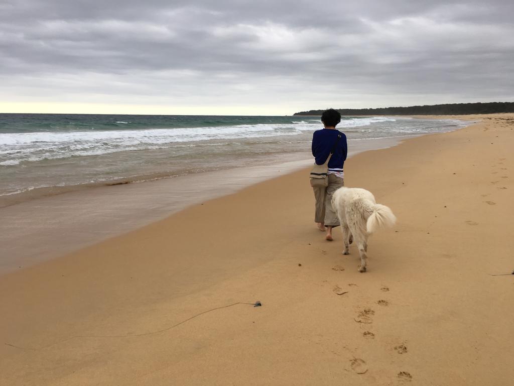 Bryn Glas Farm Stay Moruya Exteriör bild