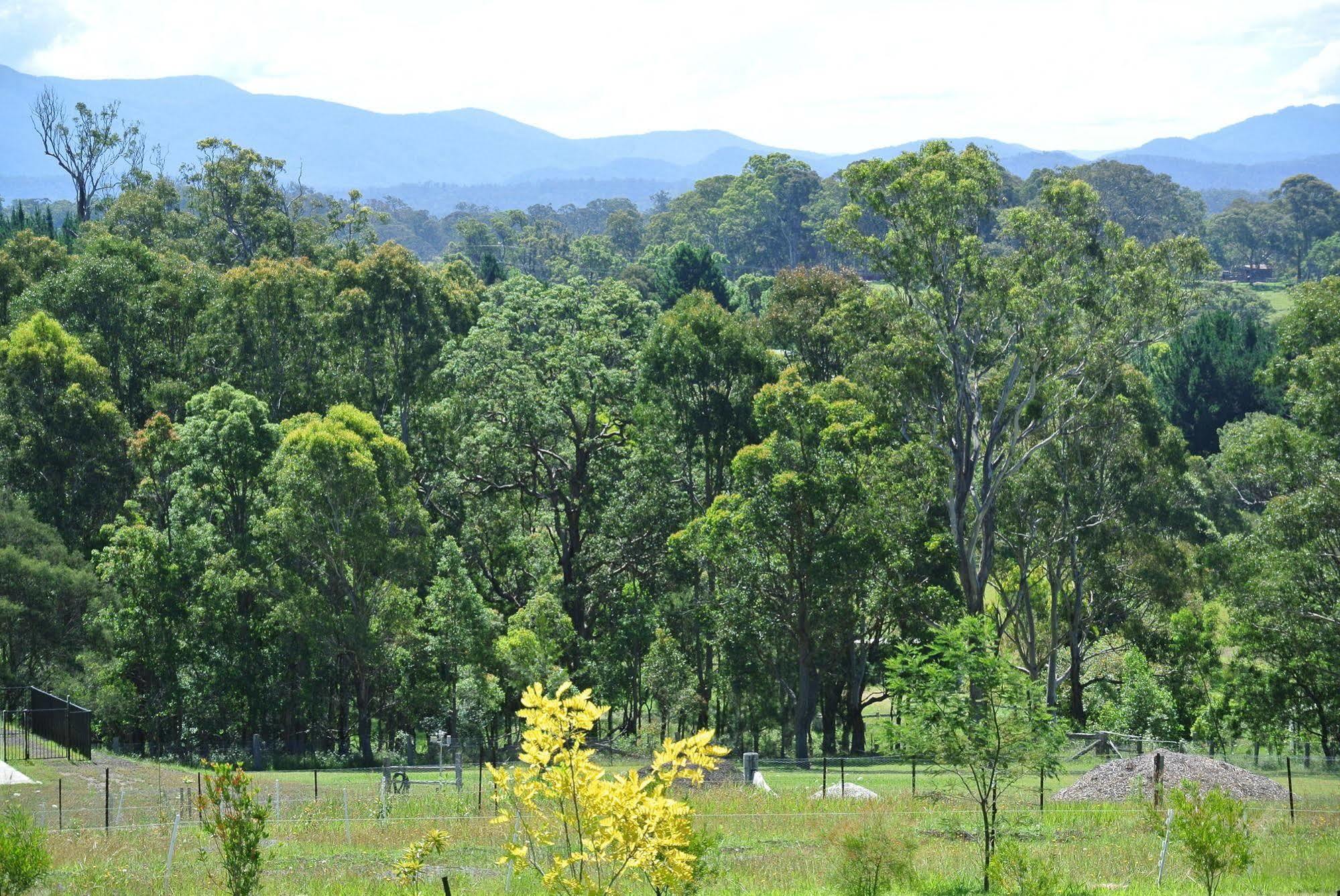 Bryn Glas Farm Stay Moruya Exteriör bild