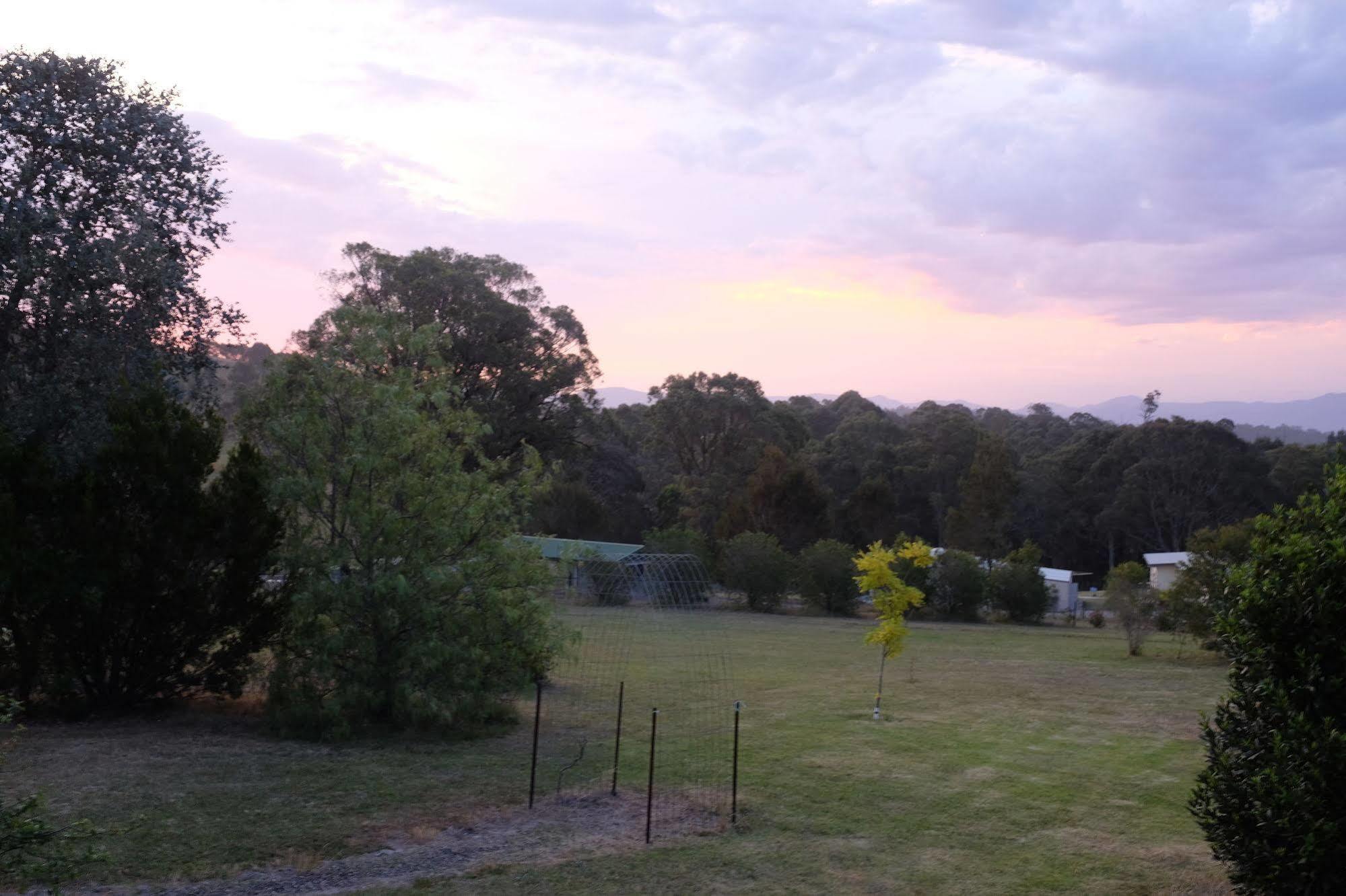 Bryn Glas Farm Stay Moruya Exteriör bild