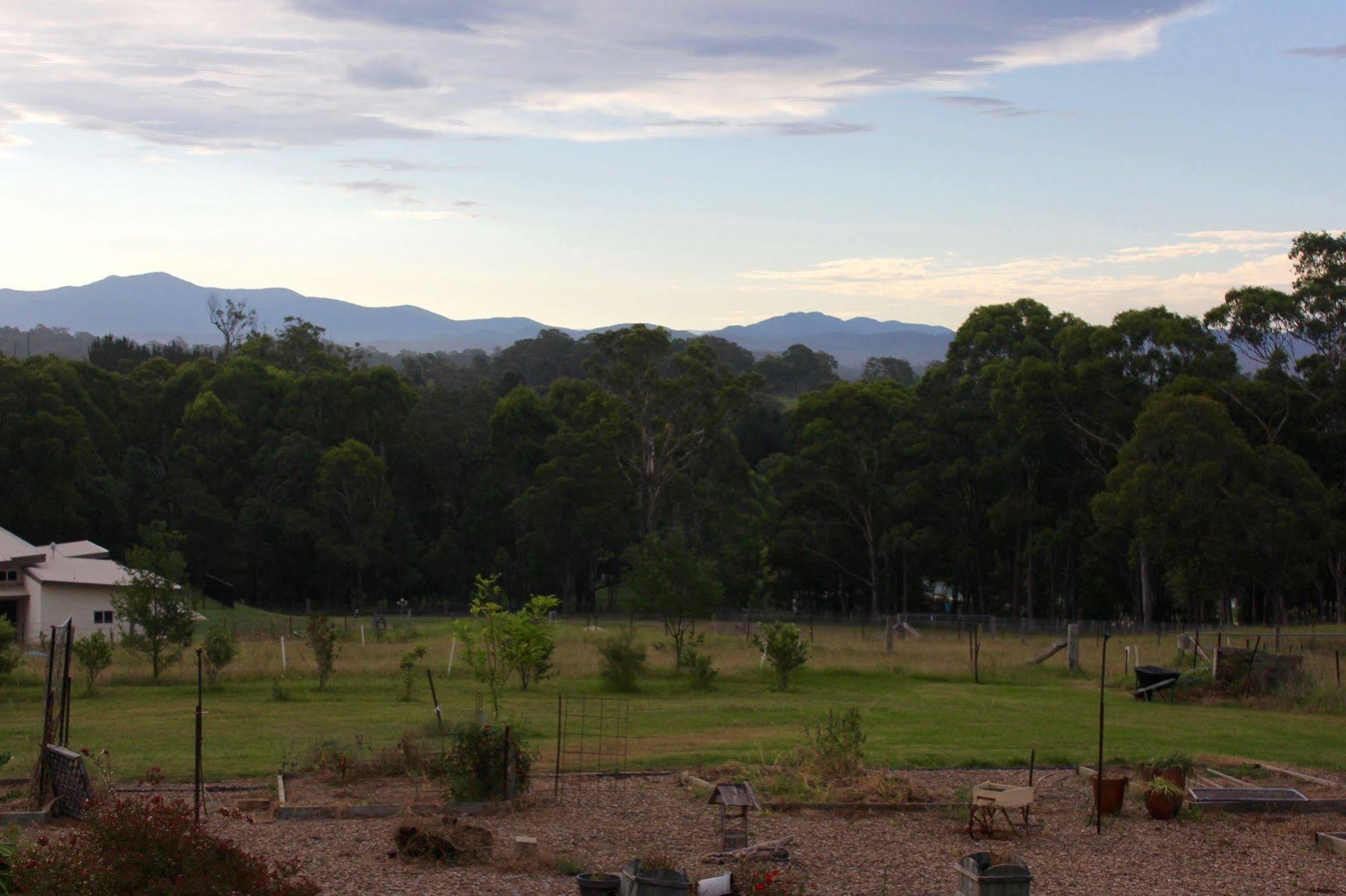 Bryn Glas Farm Stay Moruya Exteriör bild