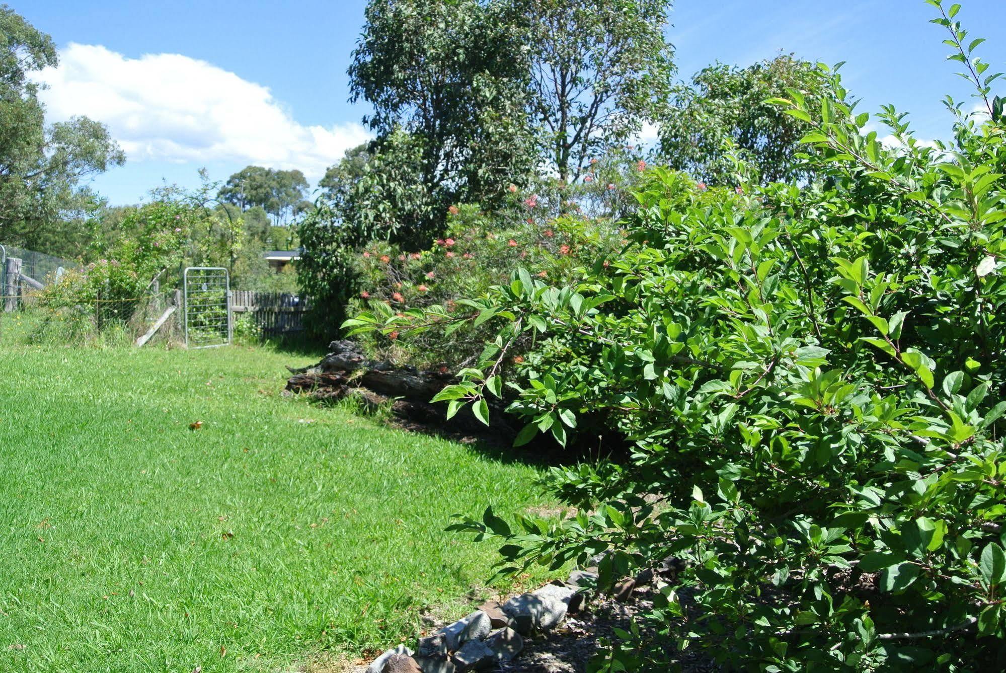 Bryn Glas Farm Stay Moruya Exteriör bild