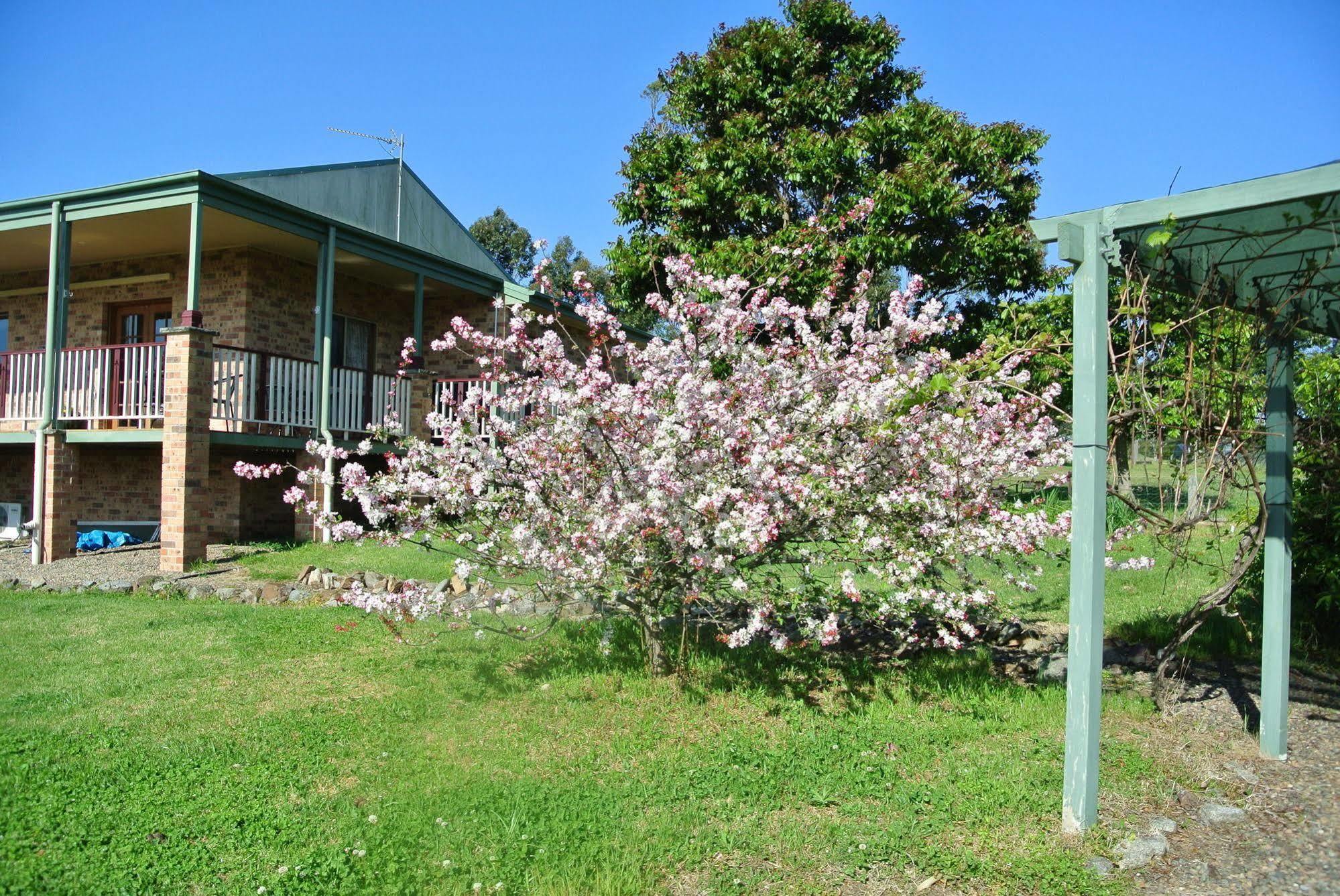 Bryn Glas Farm Stay Moruya Exteriör bild