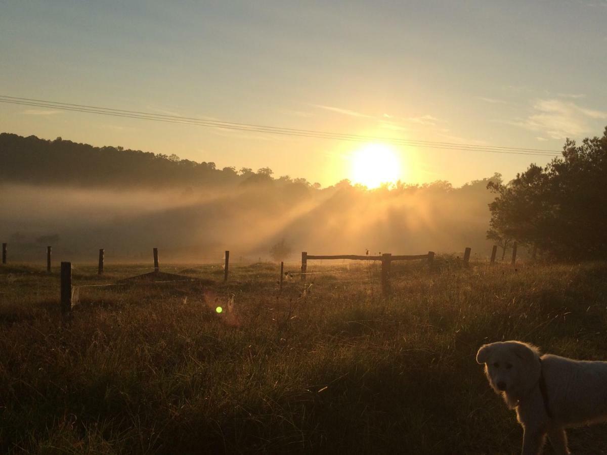 Bryn Glas Farm Stay Moruya Exteriör bild