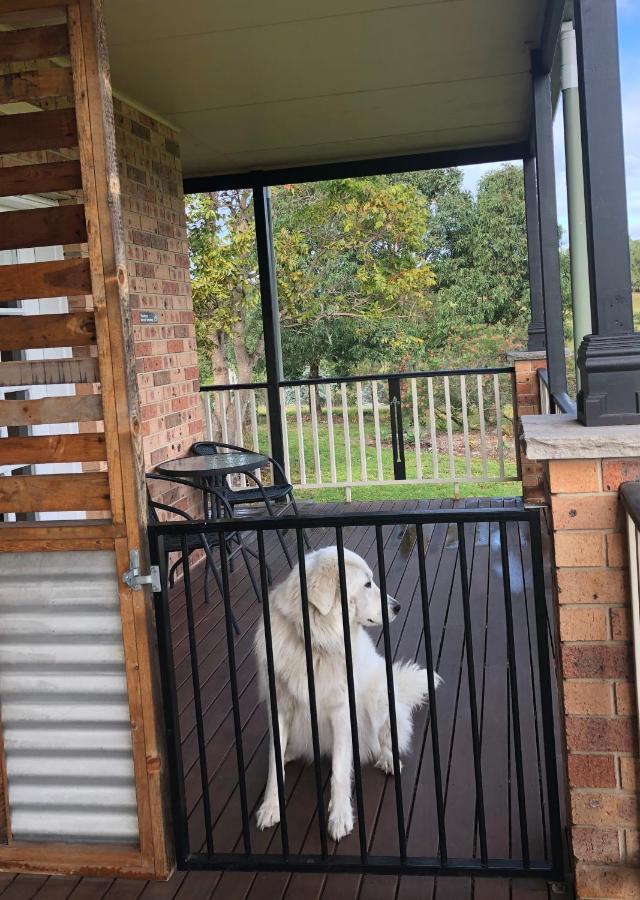 Bryn Glas Farm Stay Moruya Exteriör bild